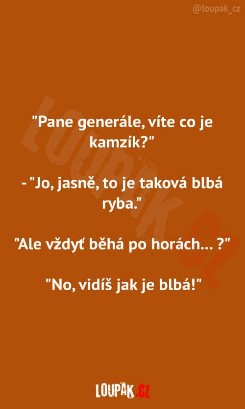 Co je to Kamzík..   