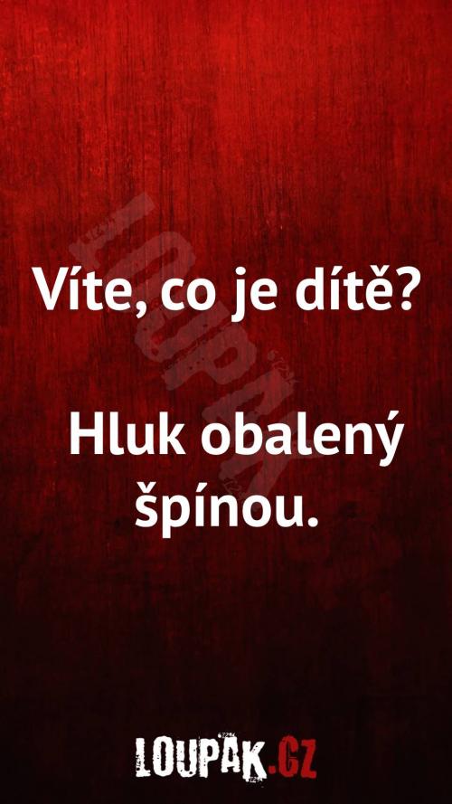  Co je to vůbec dítě... 