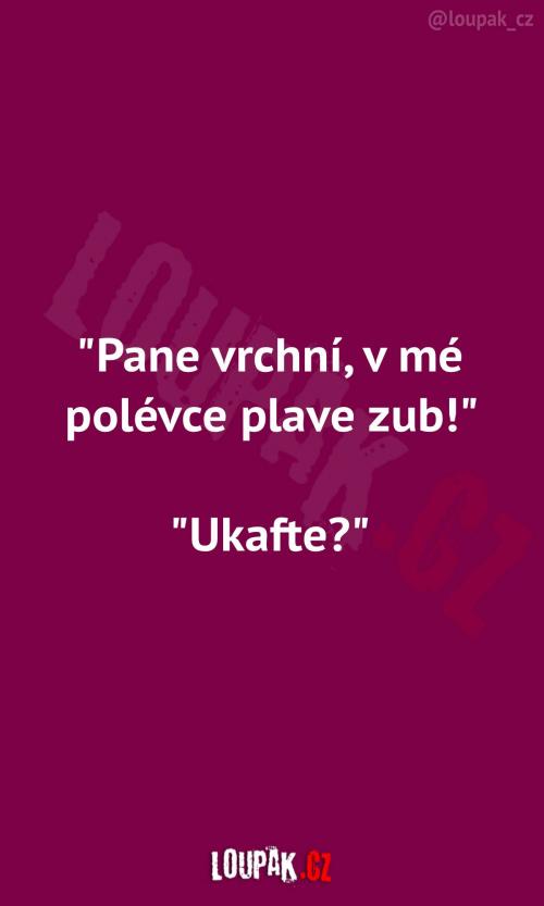  Když máte v polévce zub 