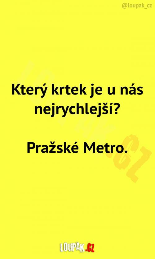 Náš nejrychlejší krtek