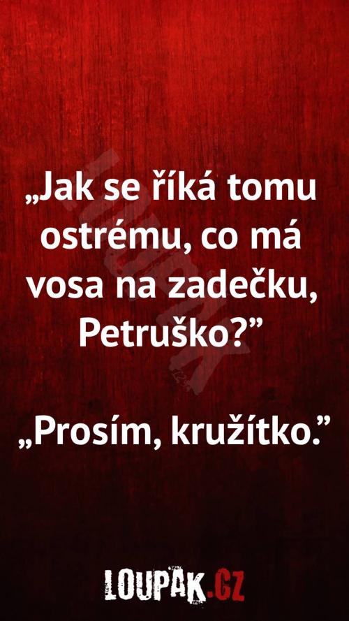  Jak se říká tomu co má vosa na zadečku 