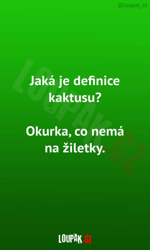 Výstižná definice kaktusu