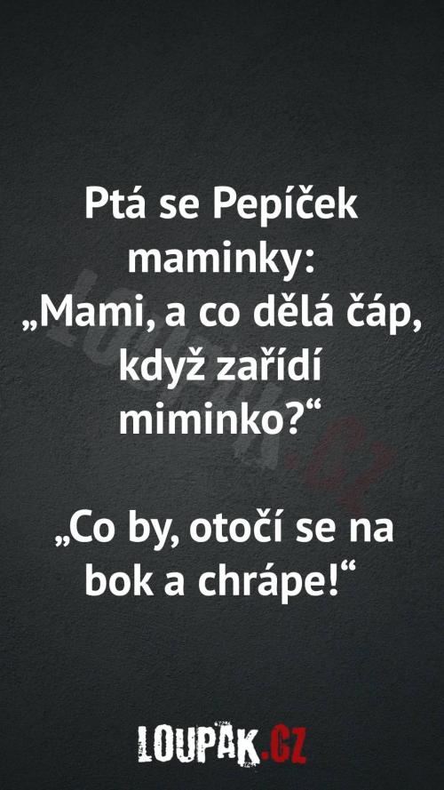  Co dělá čáp, když zařídí miminko 