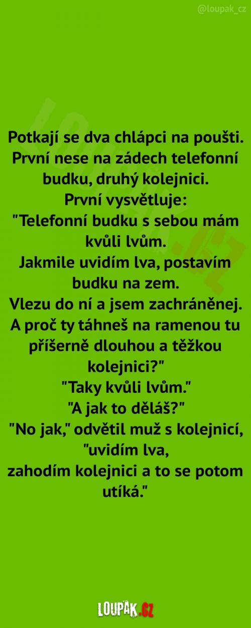  Dva chlápci na poušti  
