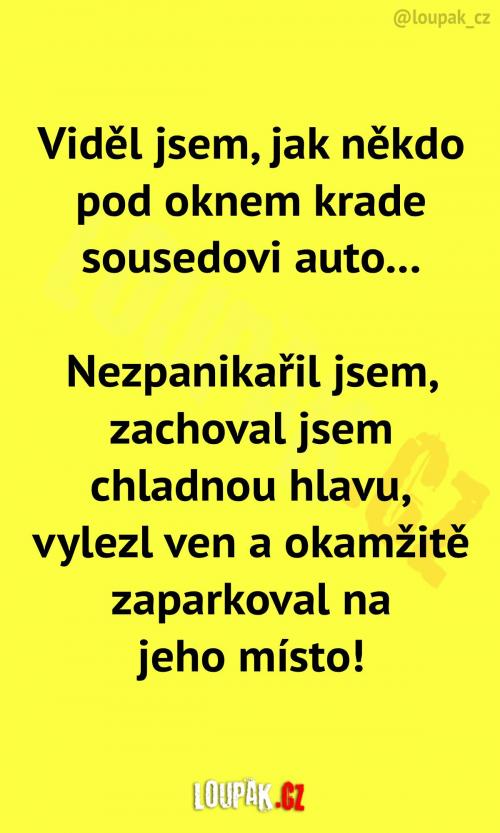  Když sousedovi kradou auto... 