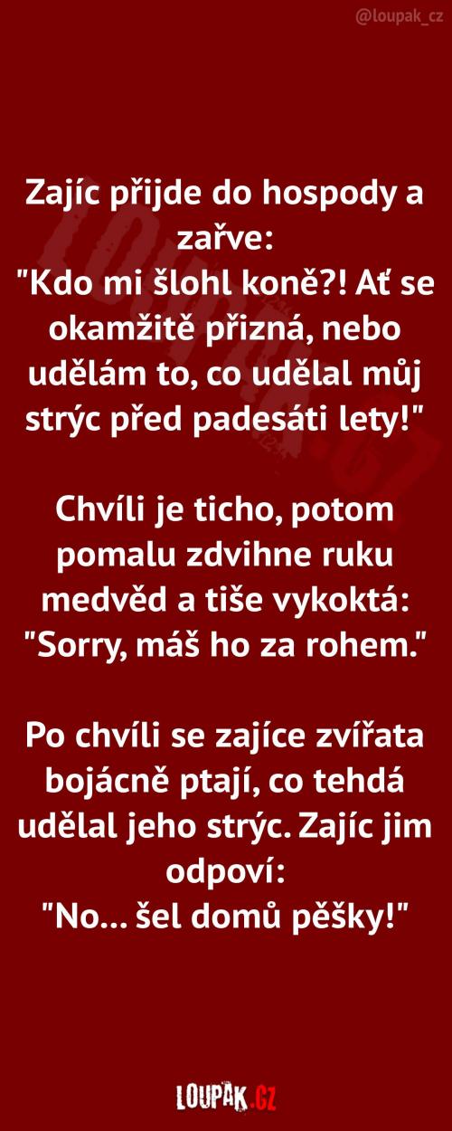  Zajíc drsnej, jak hladká mouka 