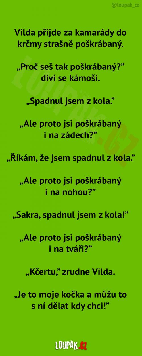  Kamarád Vilda je celý nějaký poškrábaný 