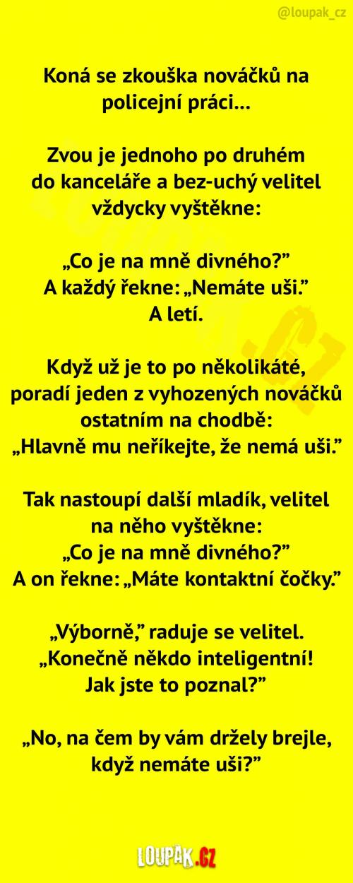  Pohovor na policejní akademii 