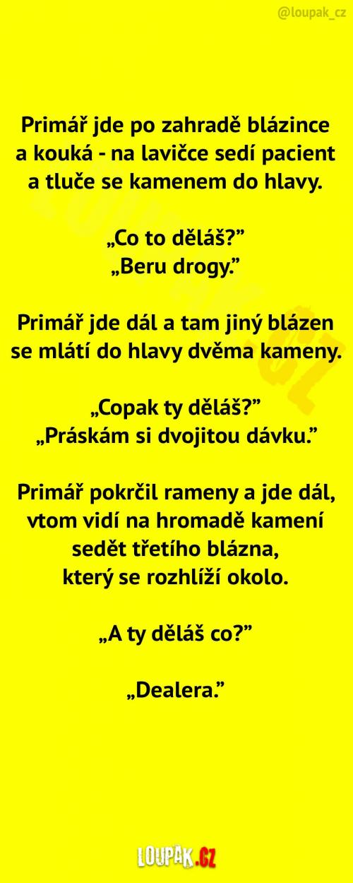 Primář se prochází po blázinci...