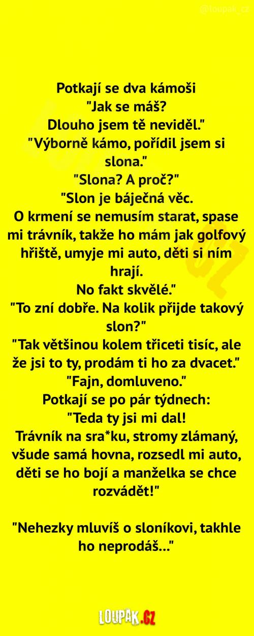 Pořízení velkého slona   Pořízení velkého slona