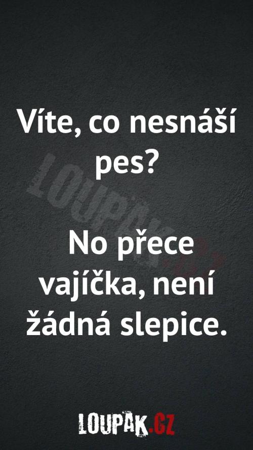  Co nesnáší vůbec psi... 