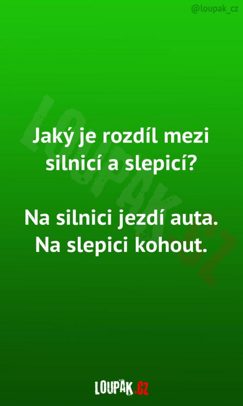 Rozdíl mezi silnicí a slepicí