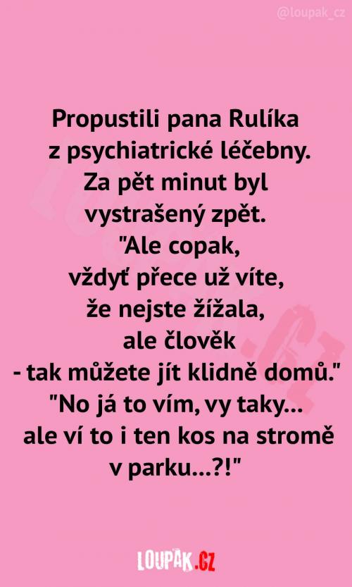 Pan Rulík má před sebou ještě spoustu práce  Pan Rulík má před sebou ještě spoustu práce