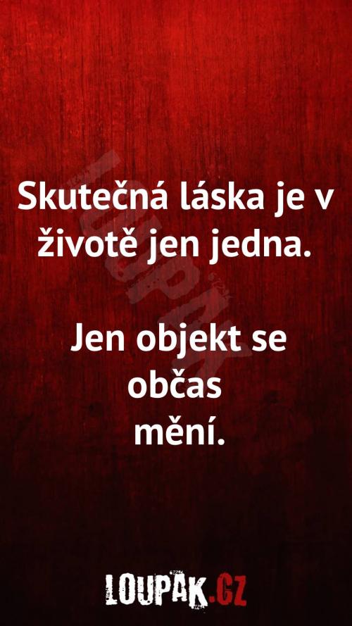 Skutečná láska je v životě jen jedna  Skutečná láska je v životě jen jedna