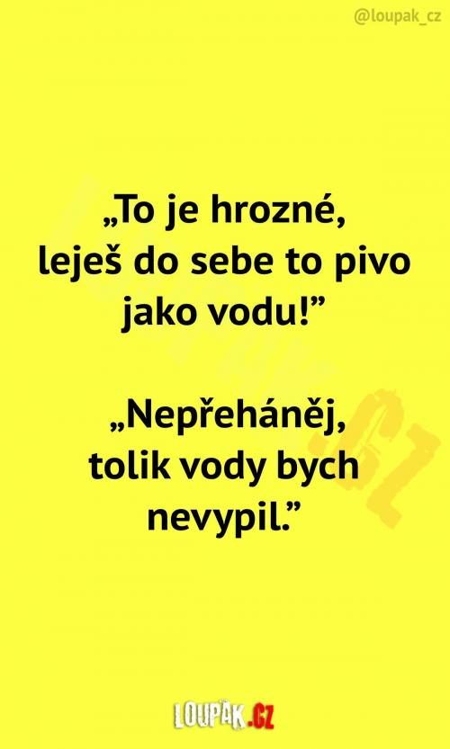  Manželka kritizuje manžela za pivo 