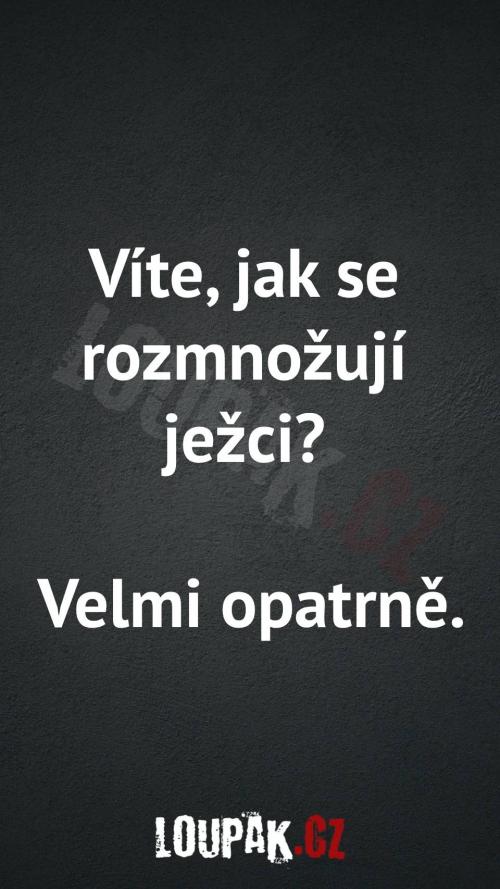  Jak se rozmnožují ježci 