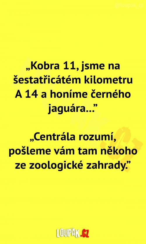 Černý jaguár na dálnici Černý jaguár na dálnici