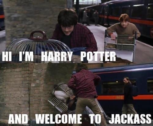  Hi im Harry Potter and.... 