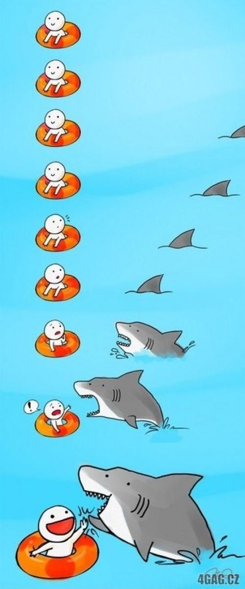 Když mimino potká žraloka