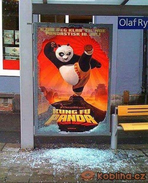  Kung Fu panda 