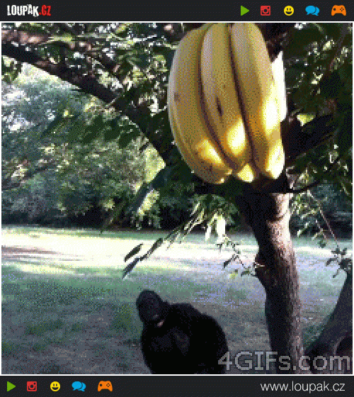  Máma banán 