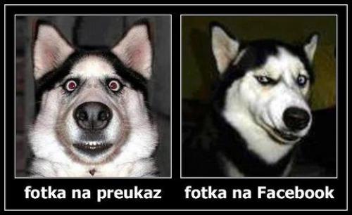  Fotky na prukazu vs facebook 