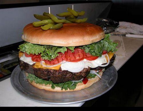  Hamburger 
