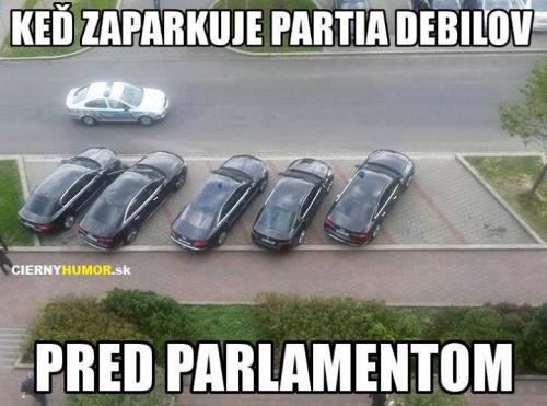  Parta debilů před parlamentem 
