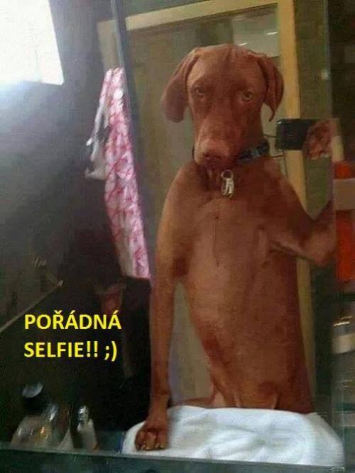  Selfie 