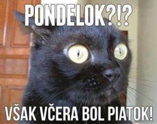  Pondělí 