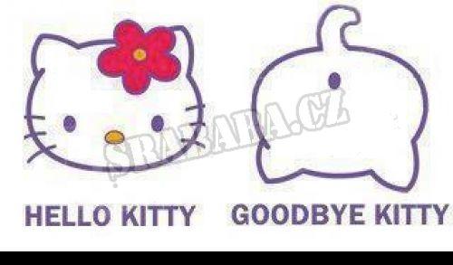  Goodbye Kitty 
