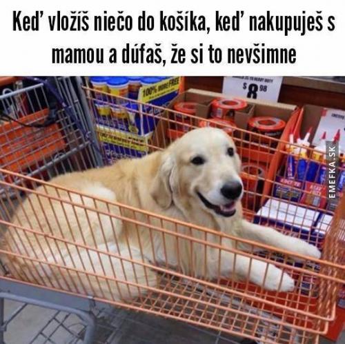  Nákup s mámou 