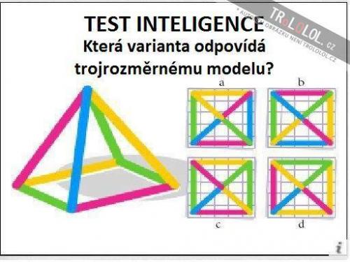  Test inteligence 