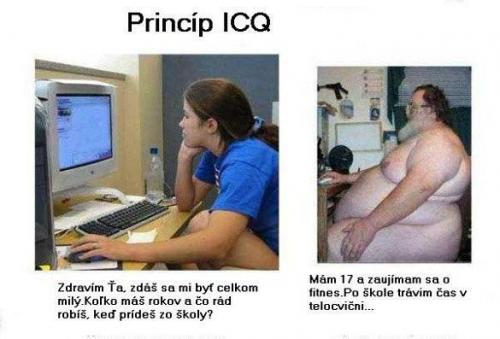 Princip ICQ 
