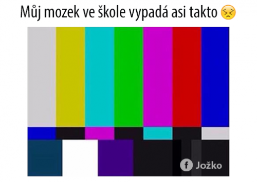 Mozek ve škole