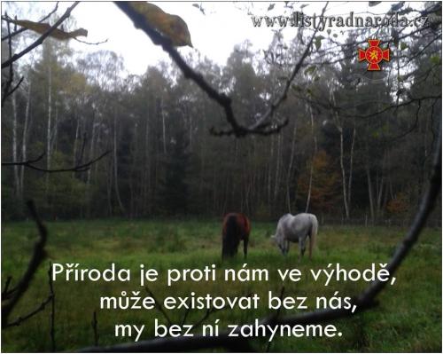 Příroda