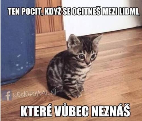  Když seš mezi lidma, které neznáš 