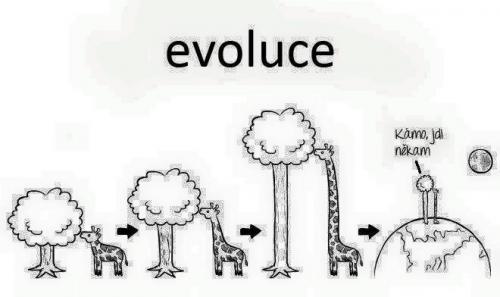 Evoluce