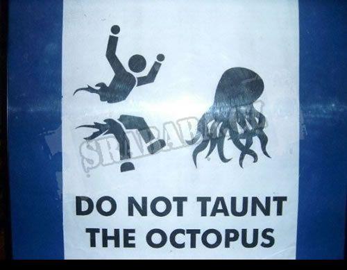  Dejte pozor na chobotnice 