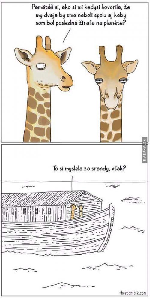 Vtip o žirafe a žirafe