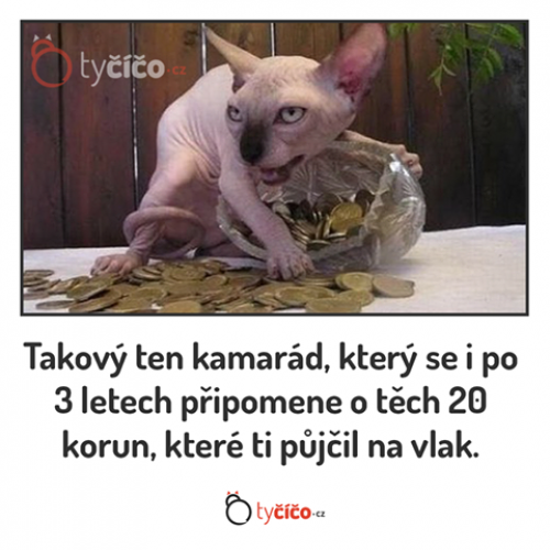  Kamarád na peníze 