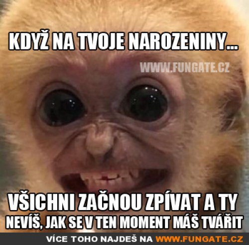 Když na tvoje narozeniny