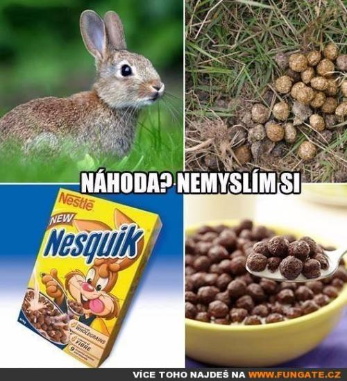  Náhoda 