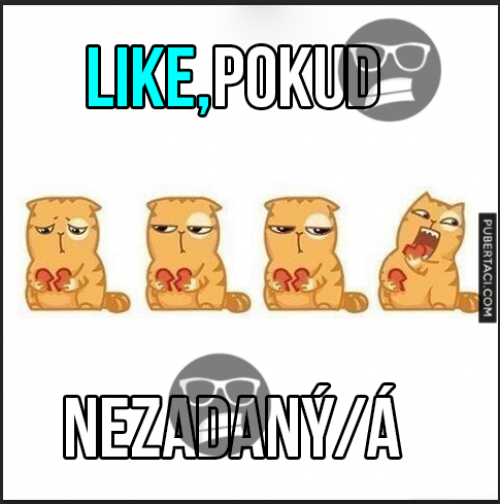  Nezadaný 