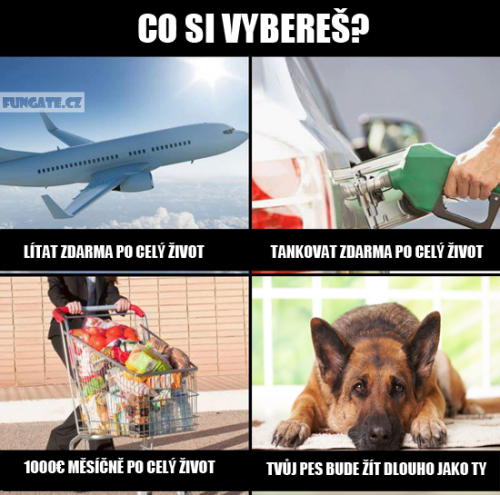 Co si vybereš