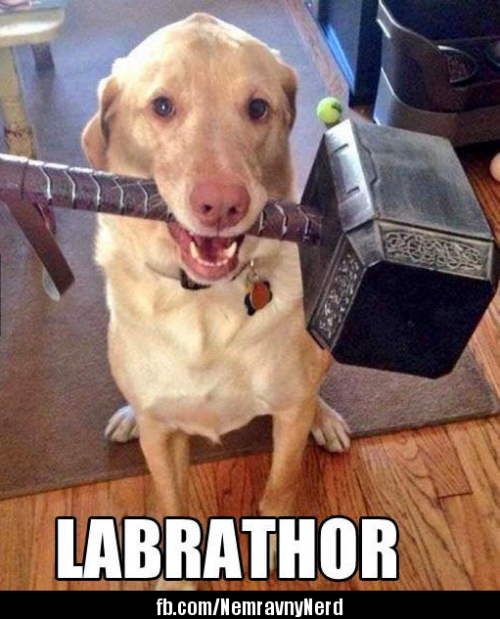 Labrathor