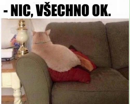  Všechno ok 