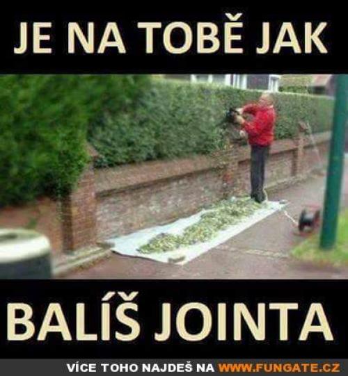  Je na tobě jak 