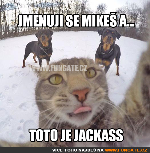 Jmenuji se Mikeš a