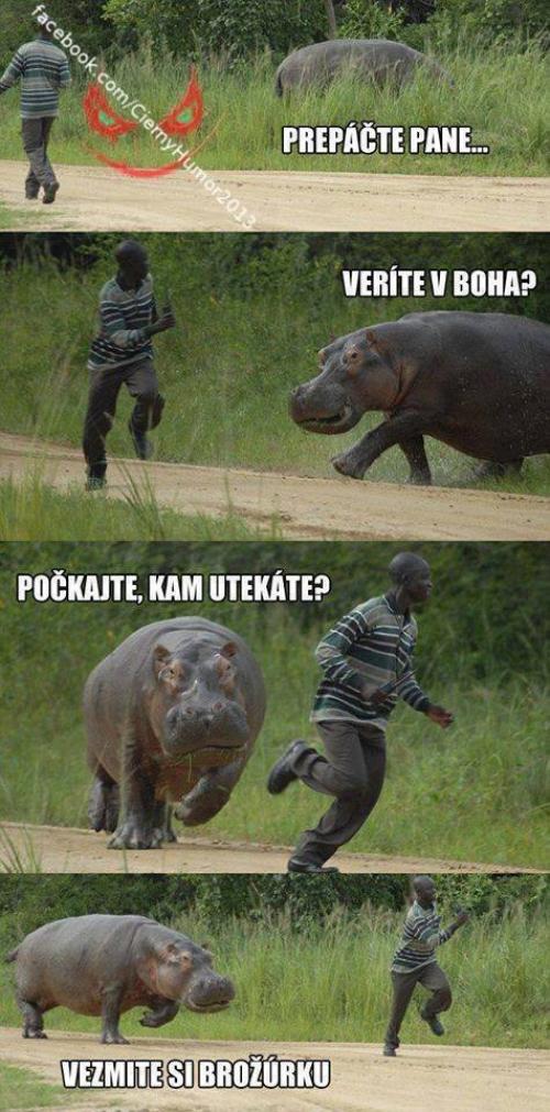 Brožurka